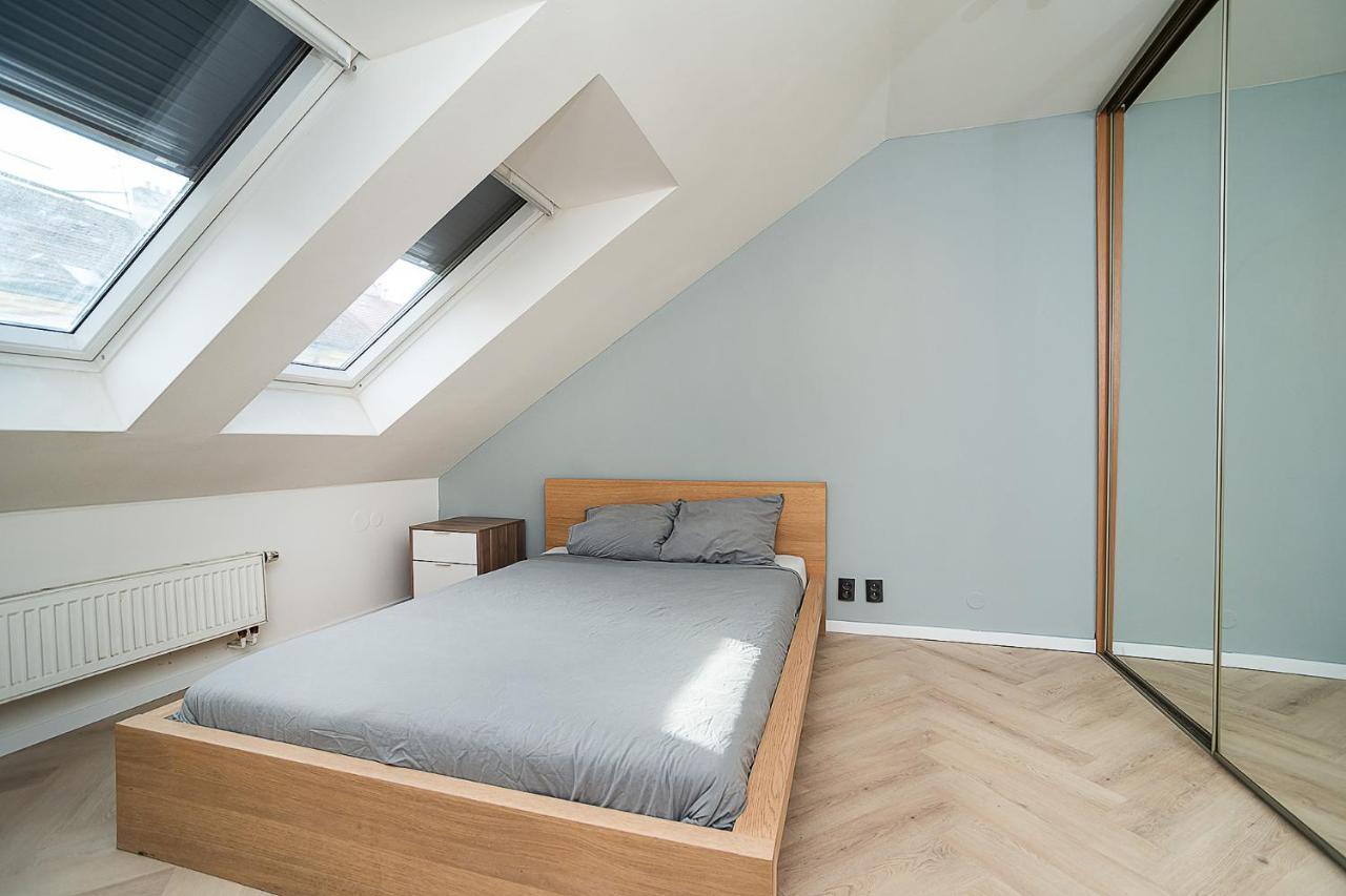 Big 4-Bedroom Flat, Terrace With Great Vitkov View 布拉格 外观 照片