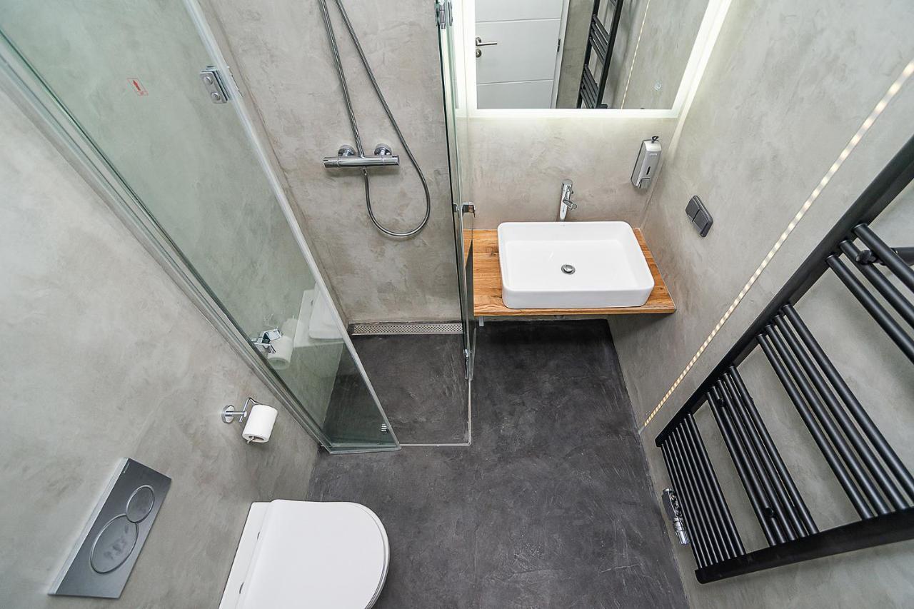 Big 4-Bedroom Flat, Terrace With Great Vitkov View 布拉格 外观 照片